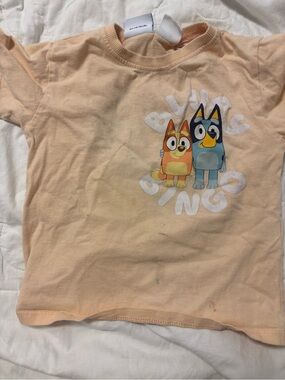 Shirt toddler bluey Zara PLAY